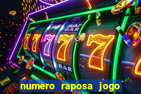 numero raposa jogo do bicho